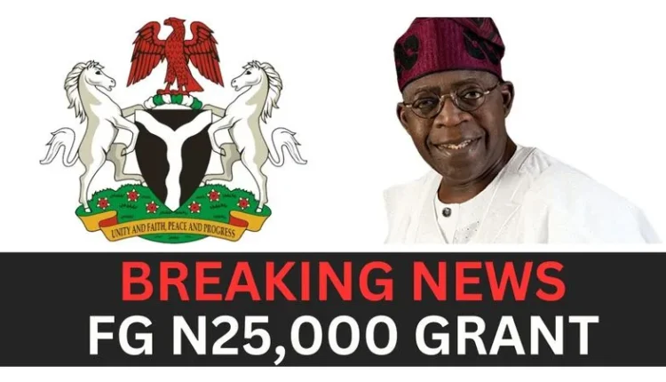 Nigerian Government to Provide Monthly ₦25,000